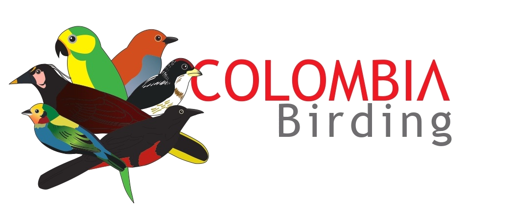 COLOMBIA Birding (LOGO)_page-0001-modified