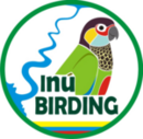Logo Sinú Birding.JPG-modified (