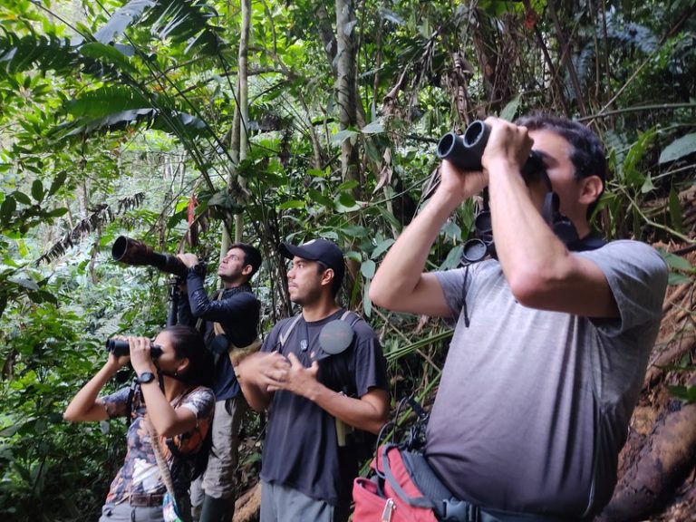 Expedición al Alto Sinú Encuentra Decenas de Especies de Aves Nuevas para el Departamento de Córdoba en Colombia